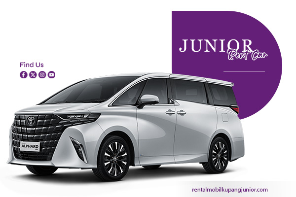 alphard 1