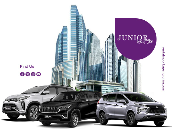 profil junior rent car